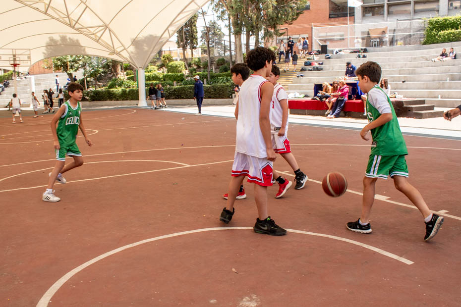 Ir a la Siguiente Foto