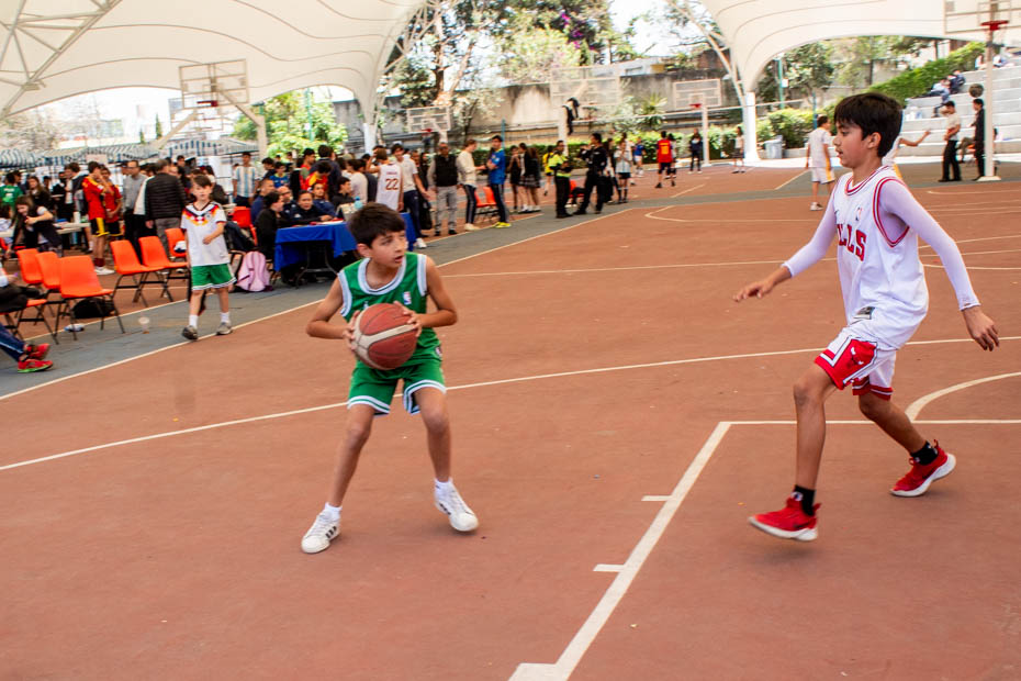 Ir a la Siguiente Foto