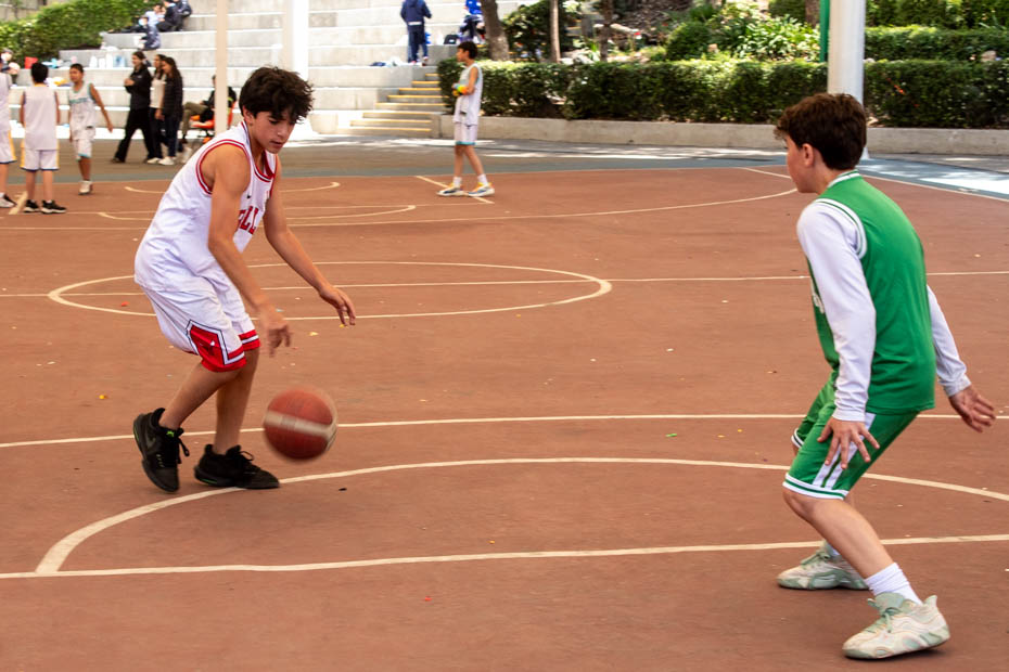 Ir a la Siguiente Foto