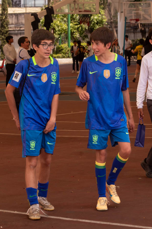 Ir a la Siguiente Foto