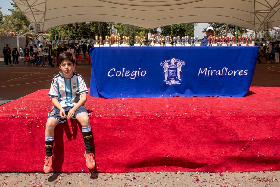 Ir a la Siguiente Foto