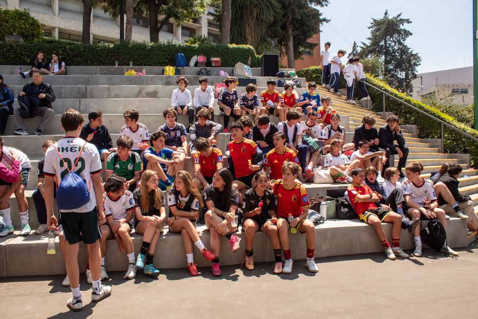 Ir a la Siguiente Foto