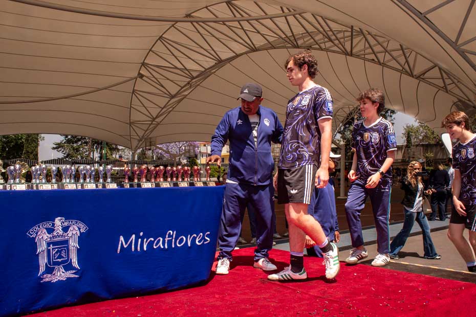 Ir a la Siguiente Foto