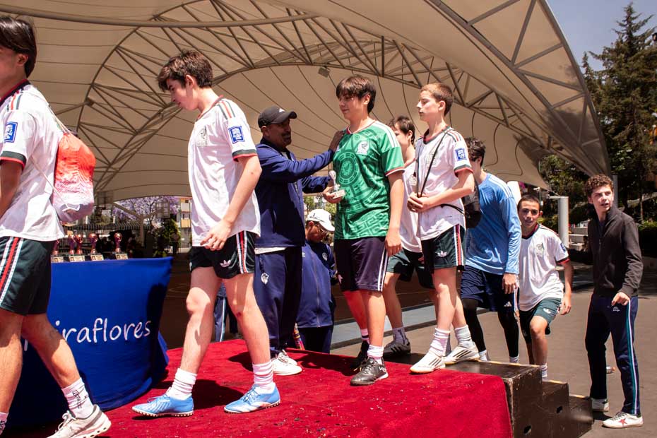 Ir a la Siguiente Foto