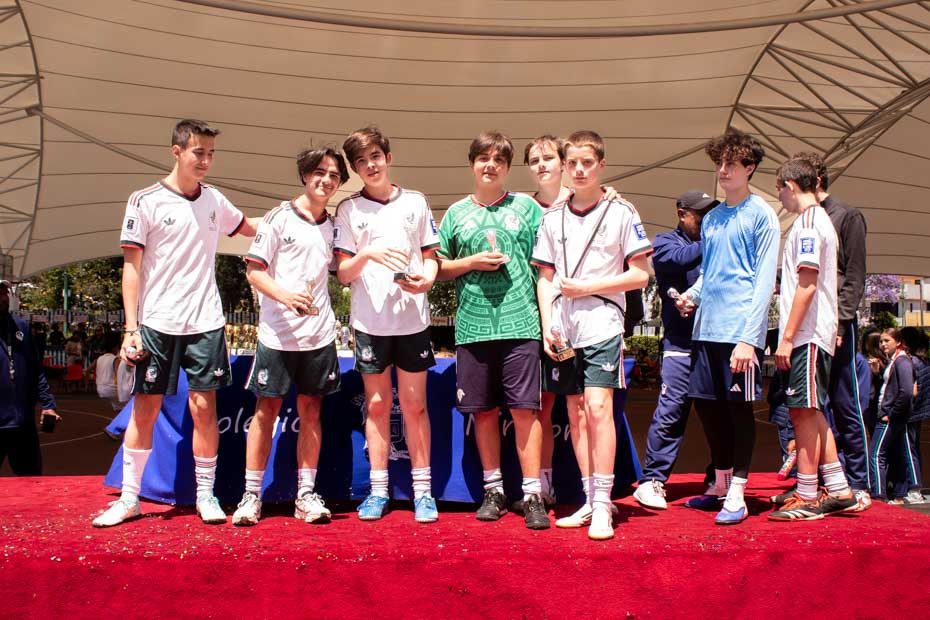 Ir a la Siguiente Foto