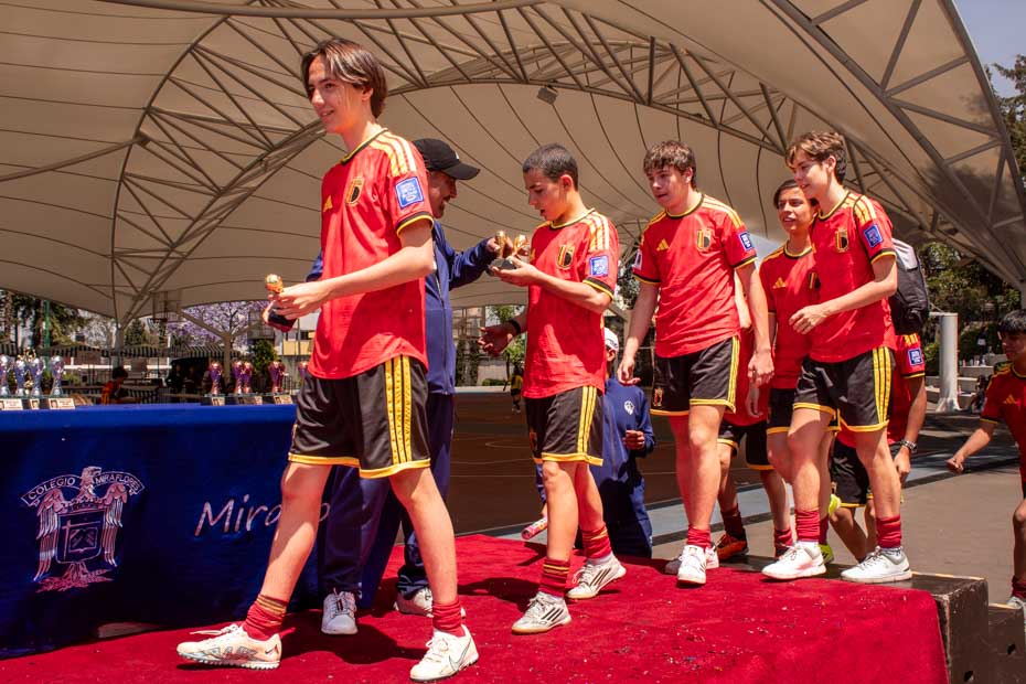 Ir a la Siguiente Foto