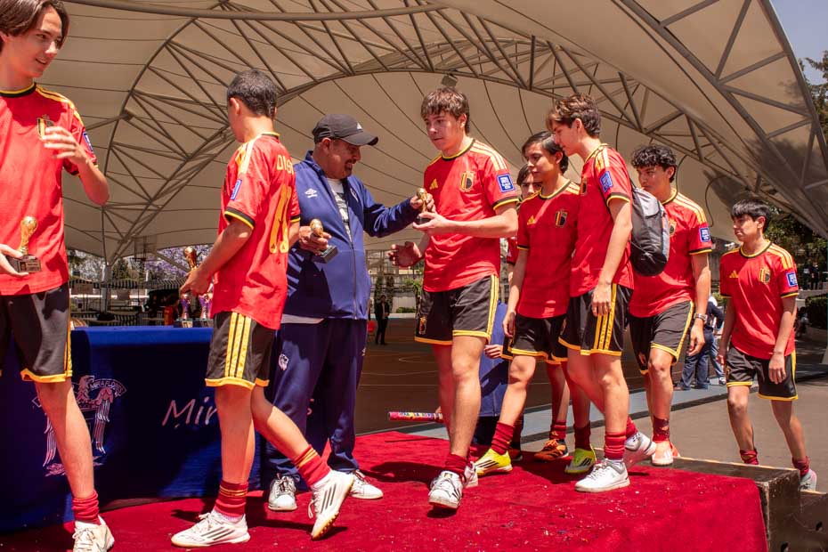 Ir a la Siguiente Foto