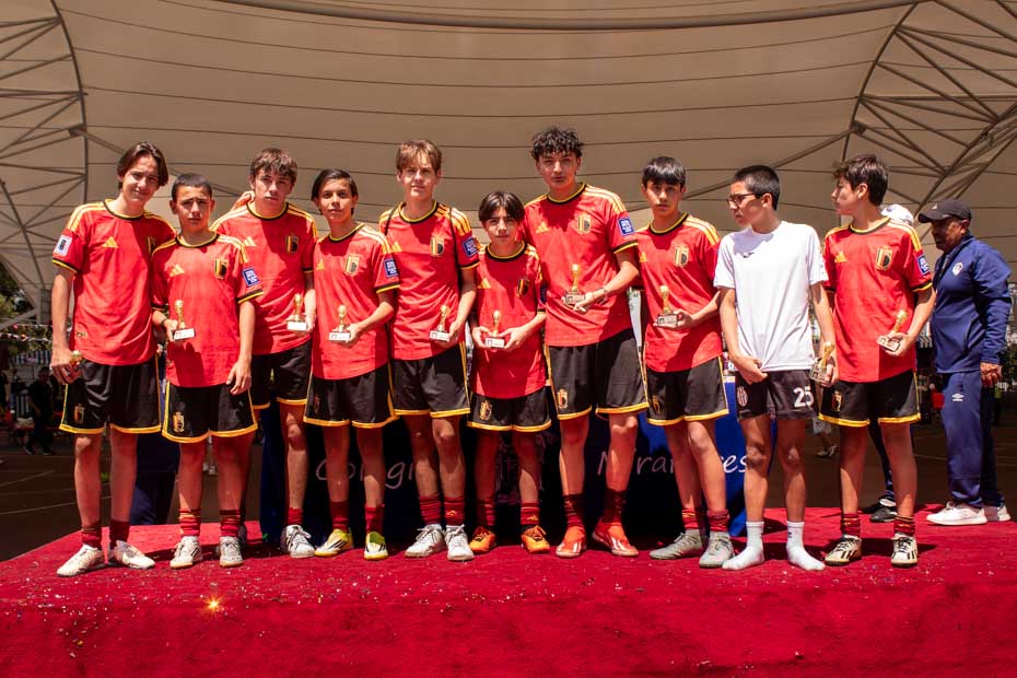 Ir a la Siguiente Foto