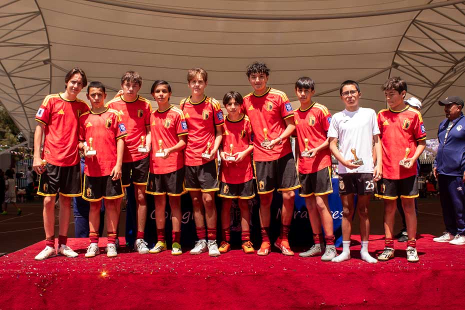 Ir a la Siguiente Foto