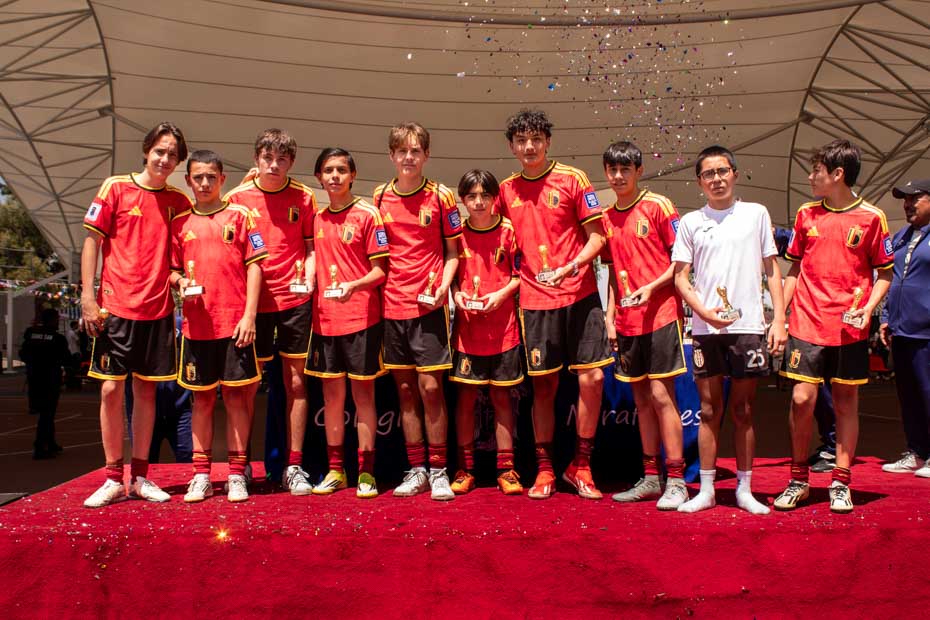 Ir a la Siguiente Foto