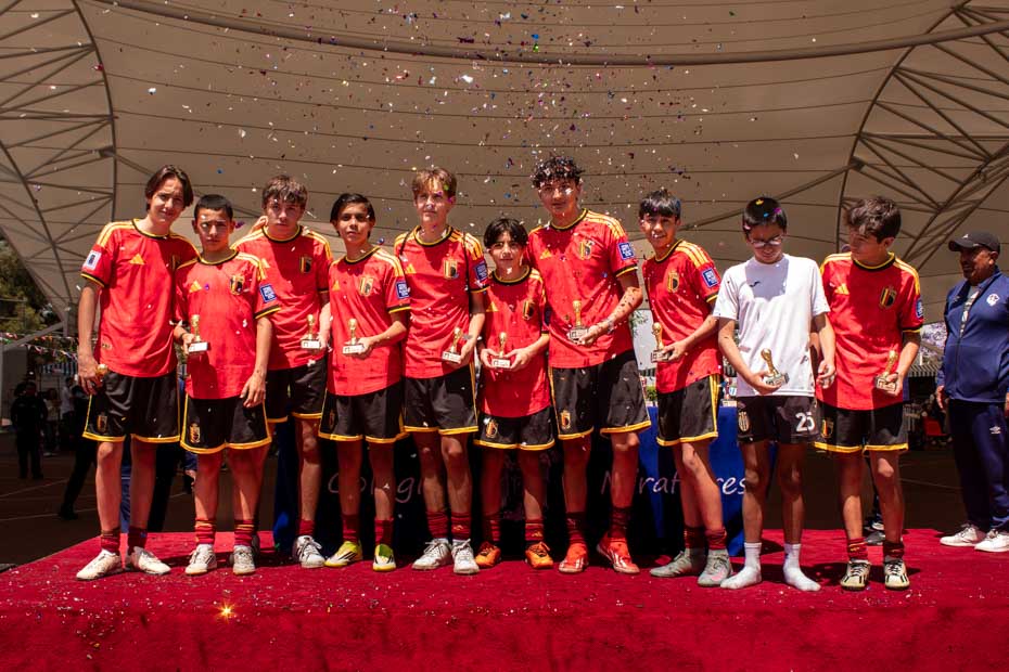 Ir a la Siguiente Foto