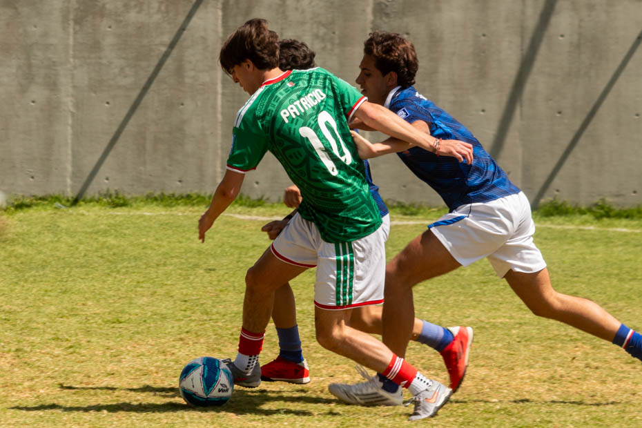 Ir a la Siguiente Foto