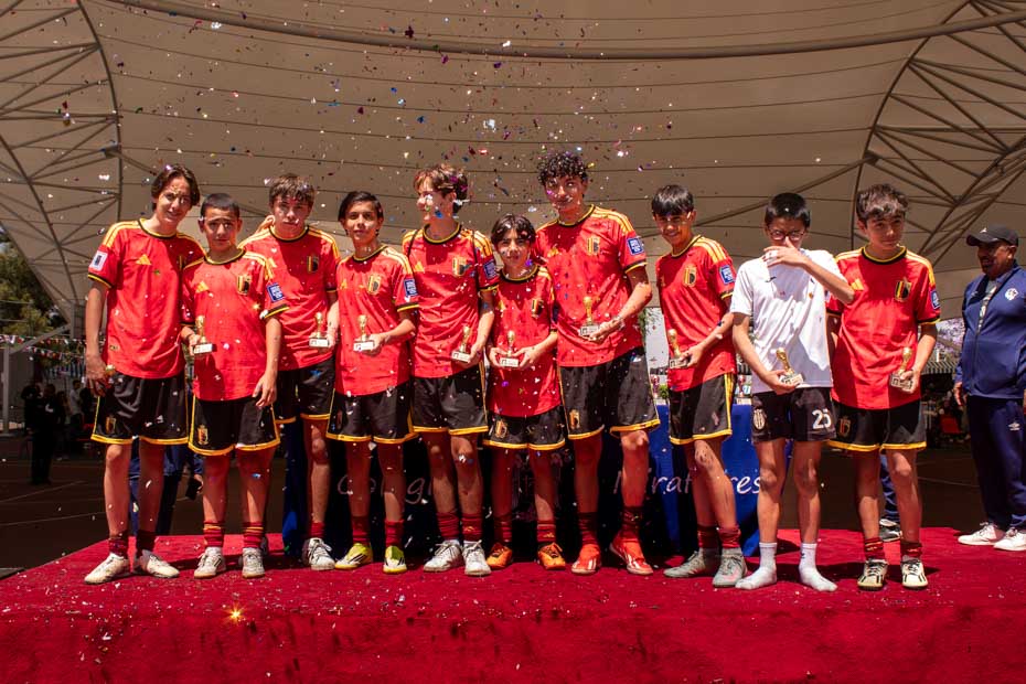 Ir a la Siguiente Foto