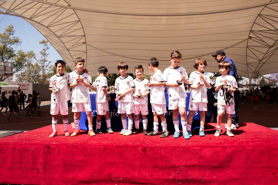 Ir a la Siguiente Foto