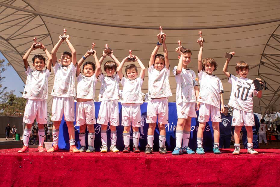 Ir a la Siguiente Foto