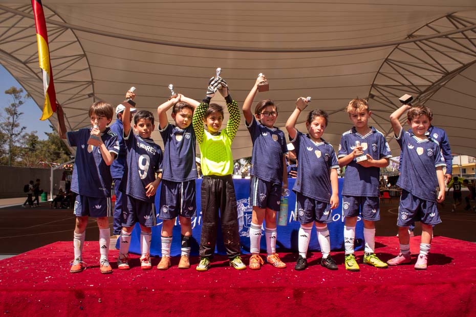 Ir a la Siguiente Foto