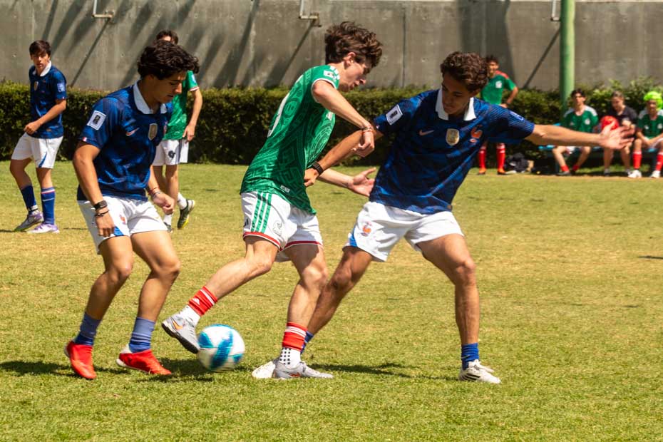 Ir a la Siguiente Foto