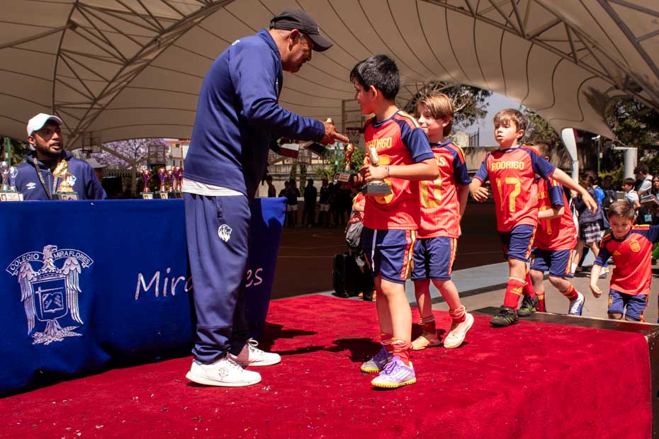 Ir a la Siguiente Foto