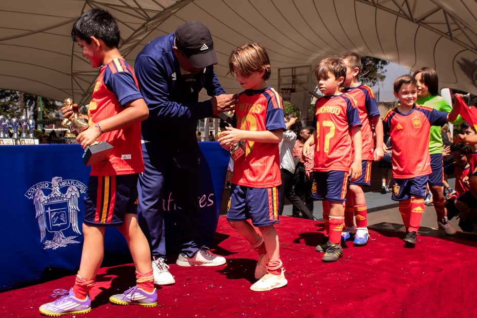 Ir a la Siguiente Foto