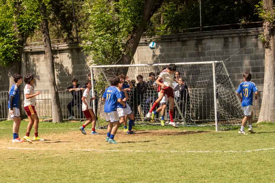 Ir a la Siguiente Foto