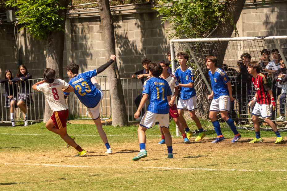 Ir a la Siguiente Foto