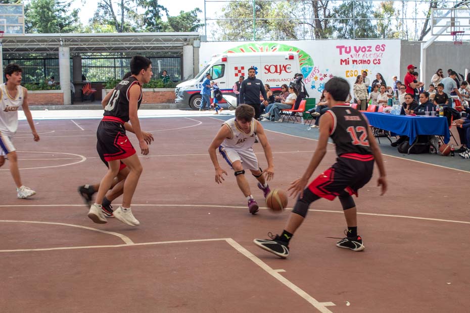 Ir a la Siguiente Foto