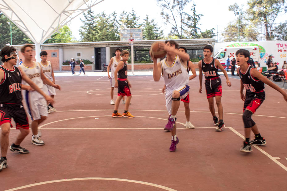 Ir a la Siguiente Foto