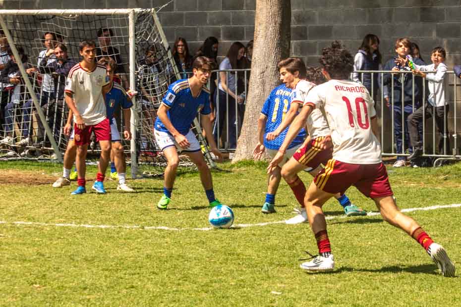 Ir a la Siguiente Foto