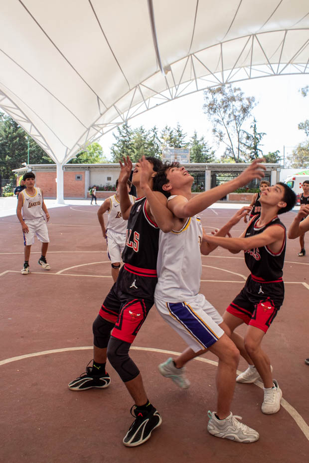 Ir a la Siguiente Foto