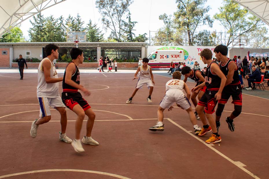 Ir a la Siguiente Foto