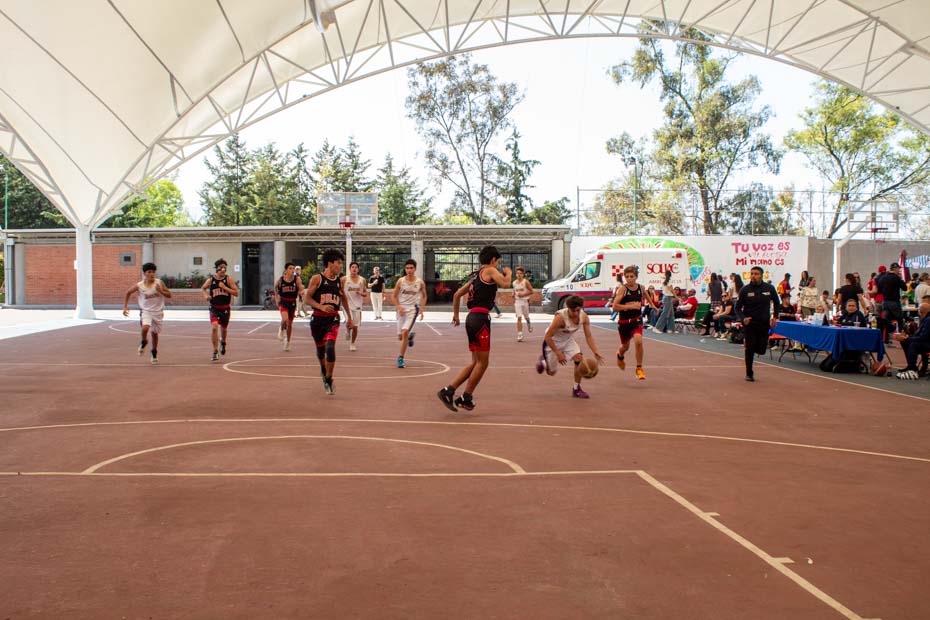 Ir a la Siguiente Foto