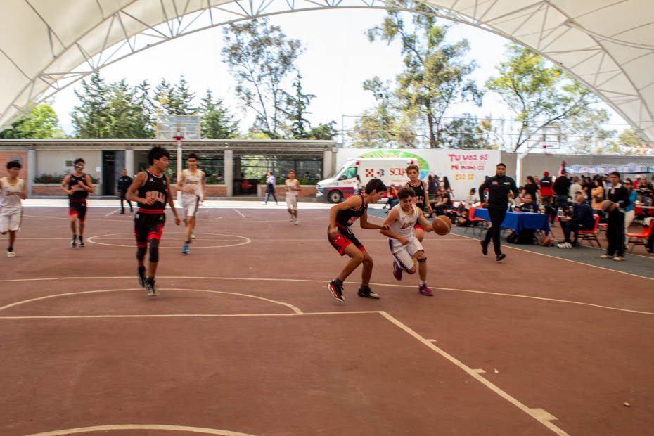 Ir a la Siguiente Foto