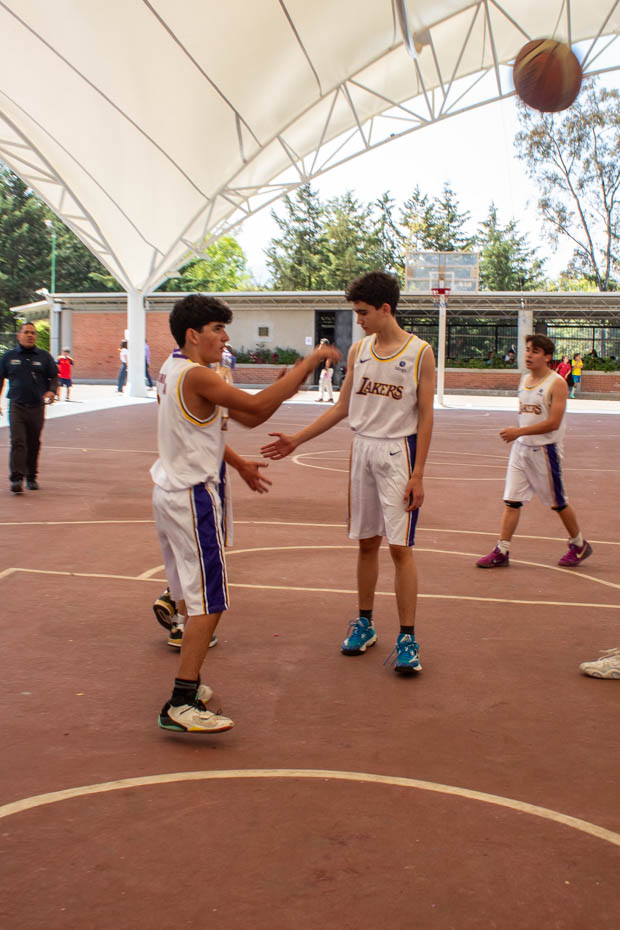 Ir a la Siguiente Foto