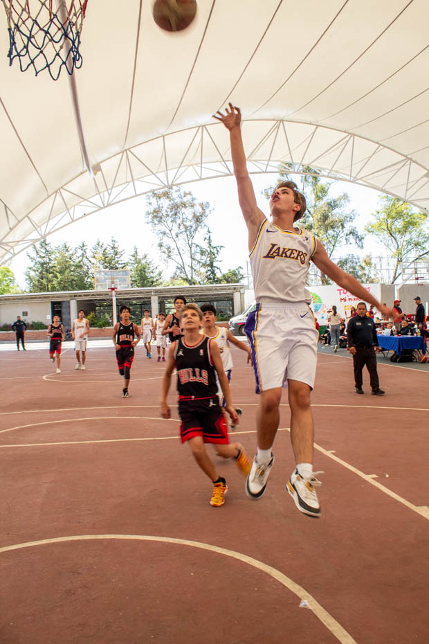 Ir a la Siguiente Foto