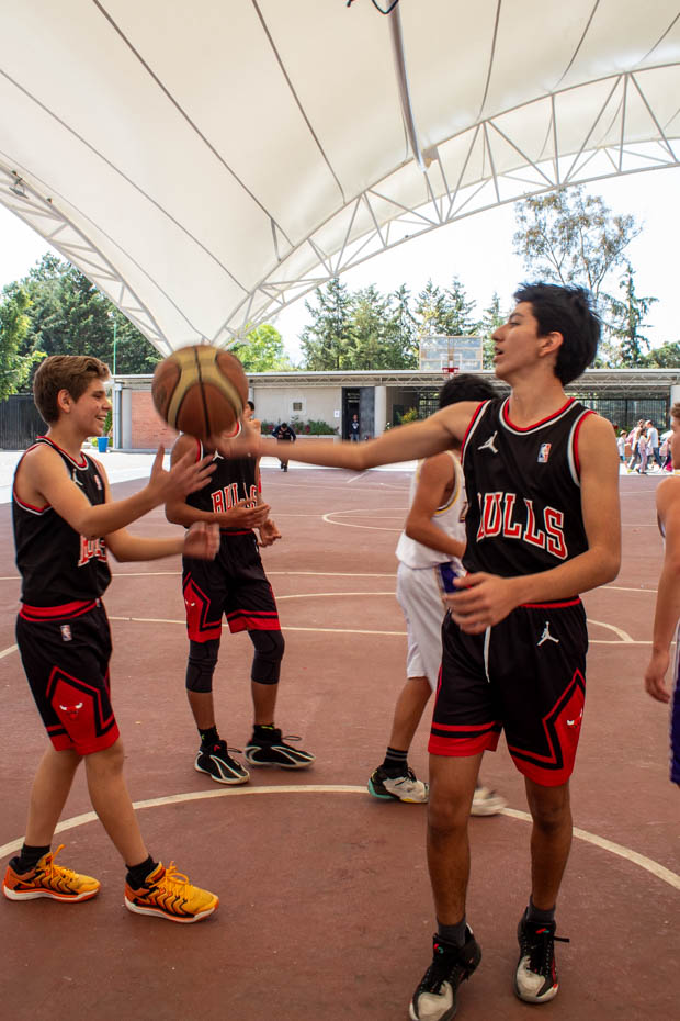 Ir a la Siguiente Foto