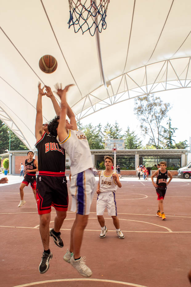 Ir a la Siguiente Foto