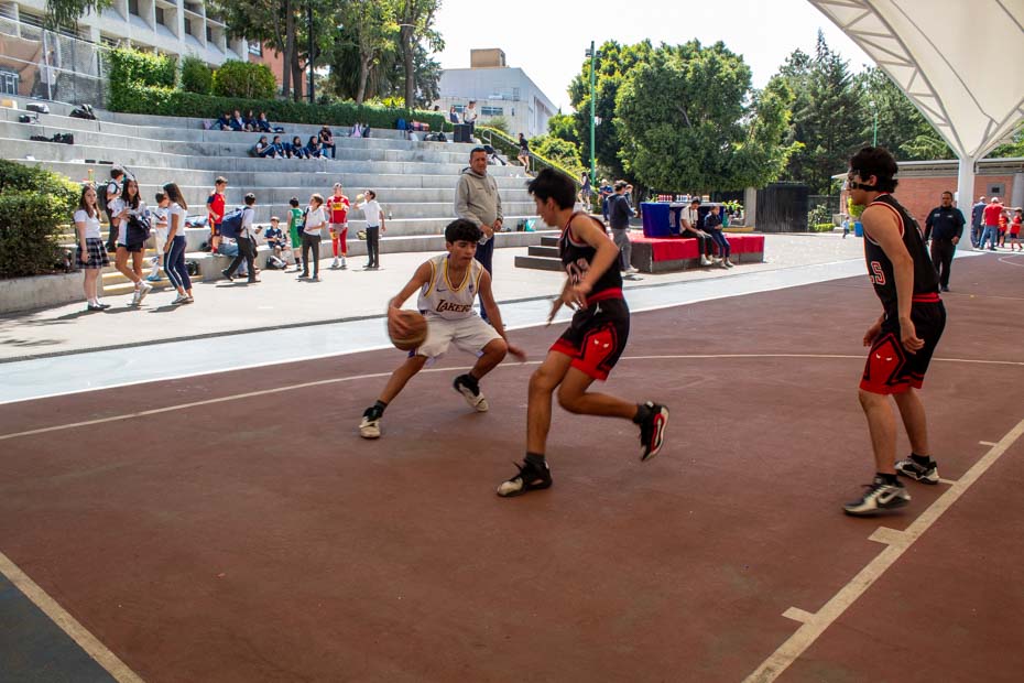 Ir a la Siguiente Foto