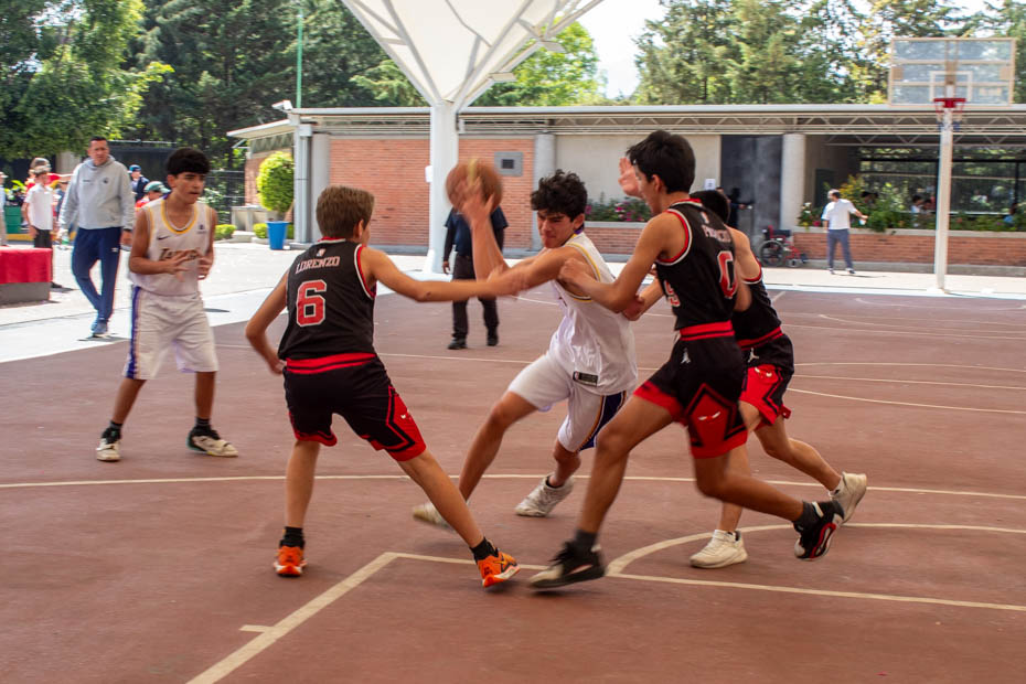 Ir a la Siguiente Foto