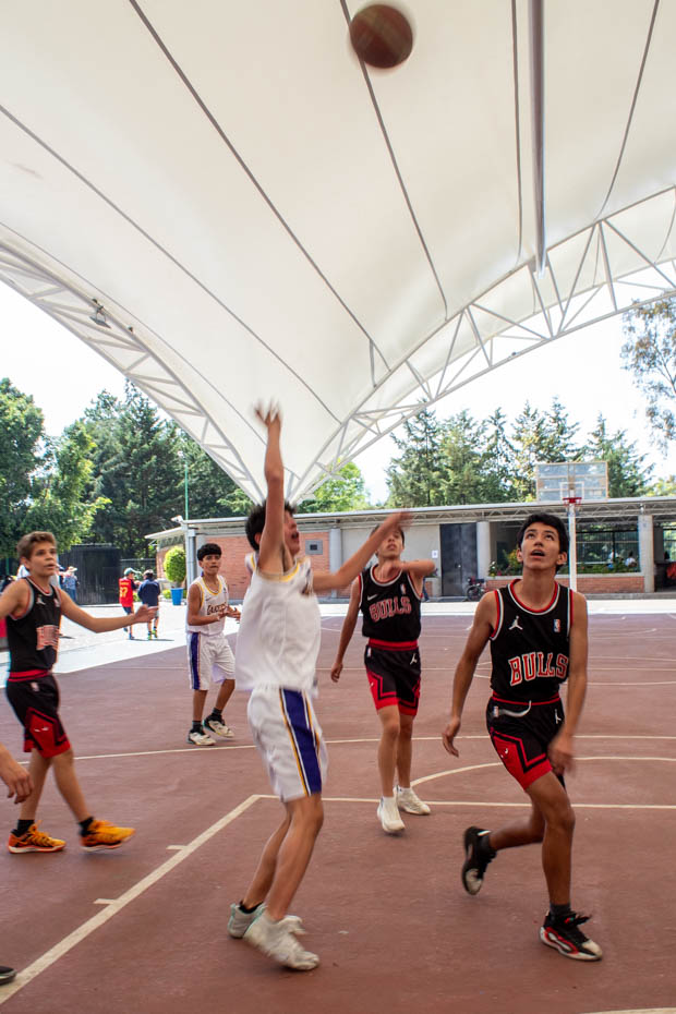 Ir a la Siguiente Foto