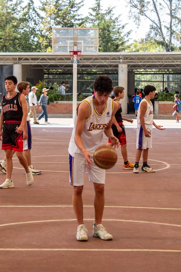 Ir a la Siguiente Foto