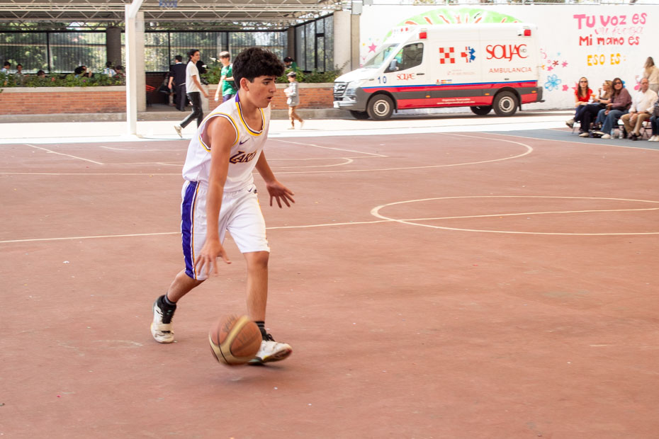 Ir a la Siguiente Foto