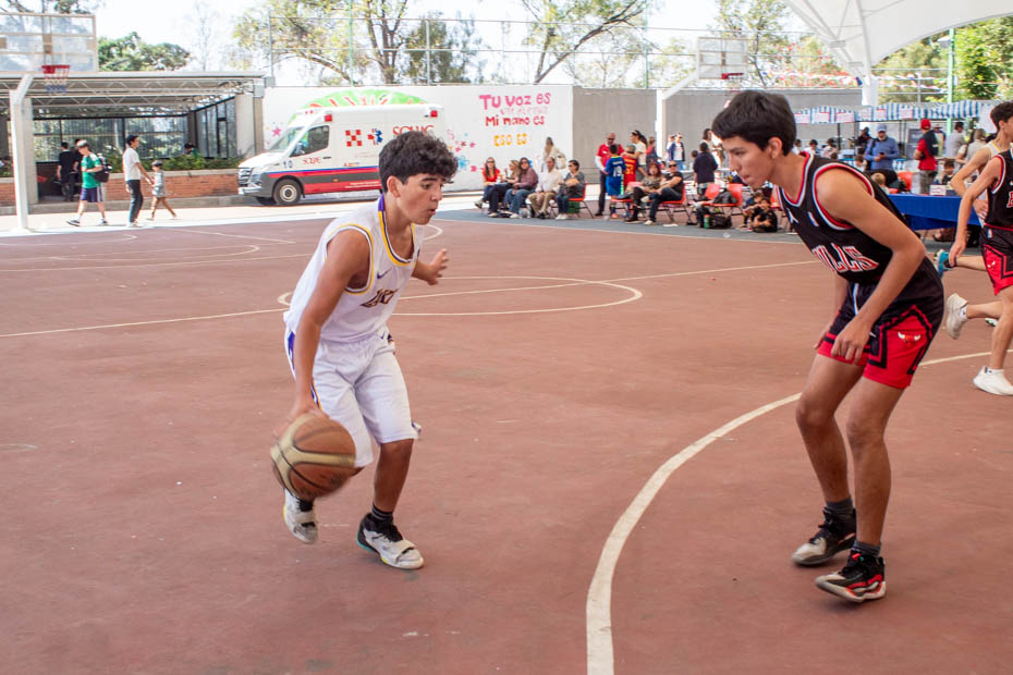 Ir a la Siguiente Foto