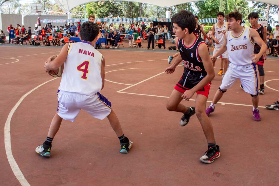 Ir a la Siguiente Foto