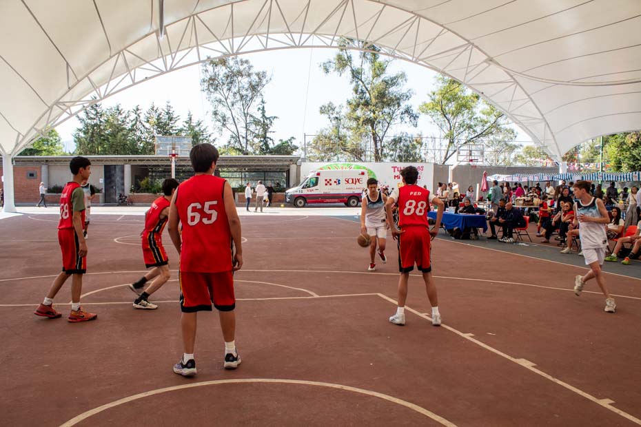 Ir a la Siguiente Foto