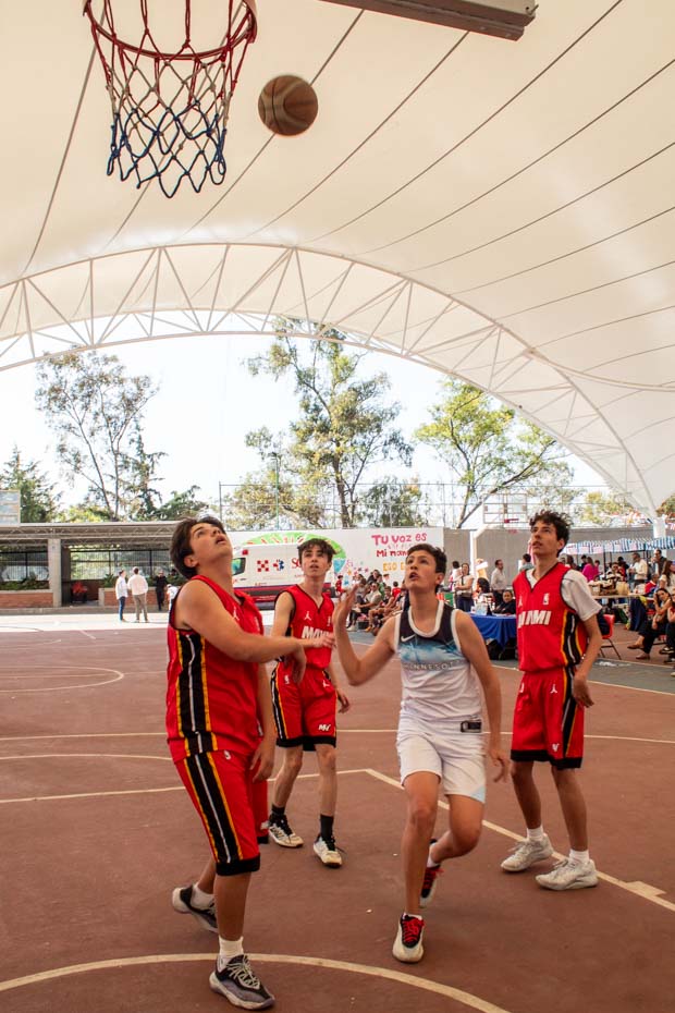 Ir a la Siguiente Foto