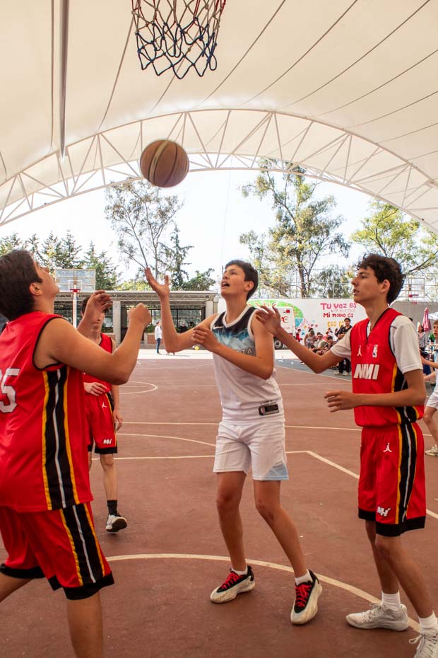 Ir a la Siguiente Foto