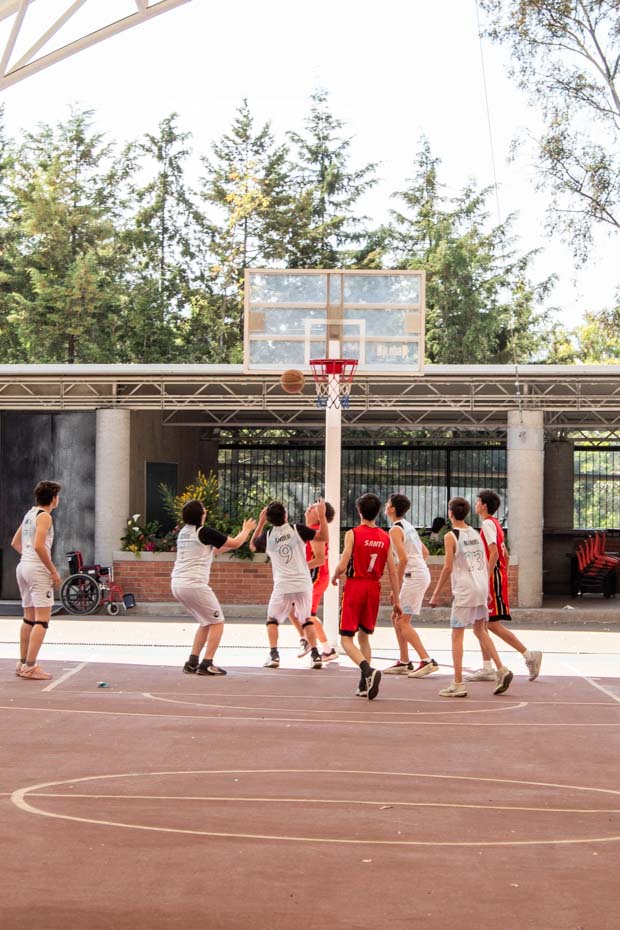 Ir a la Siguiente Foto