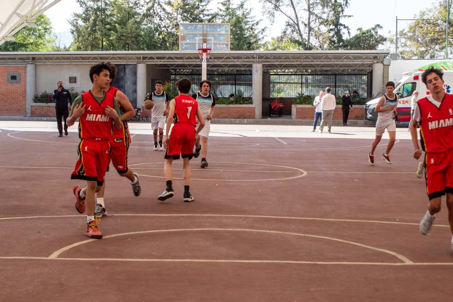 Ir a la Siguiente Foto