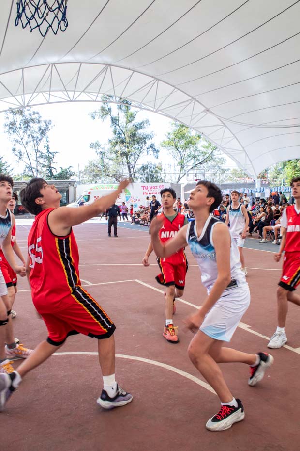 Ir a la Siguiente Foto