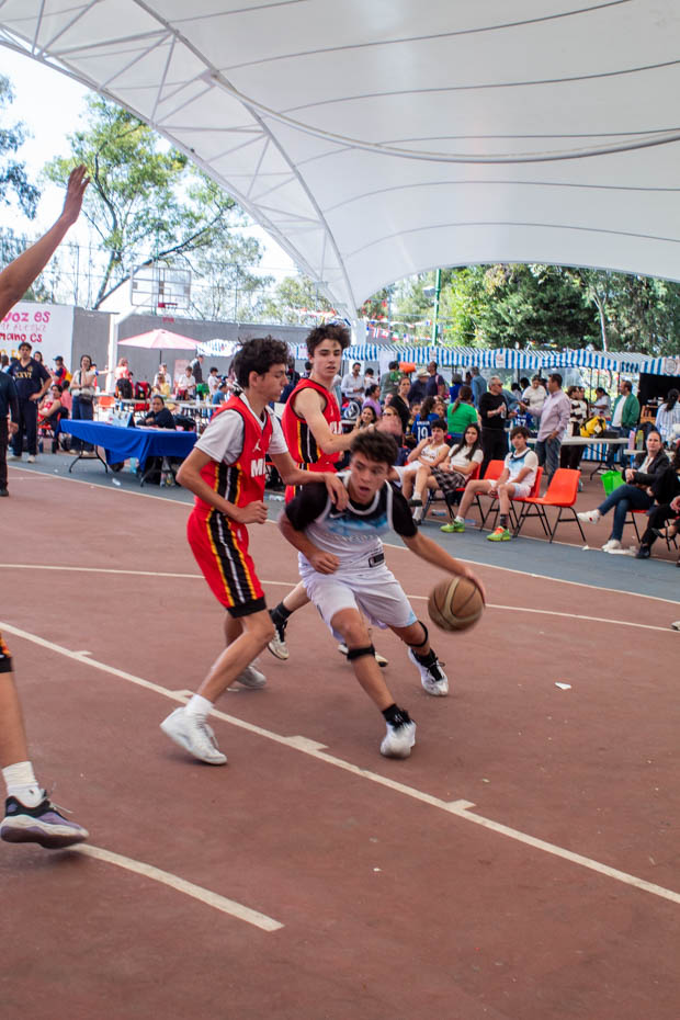 Ir a la Siguiente Foto